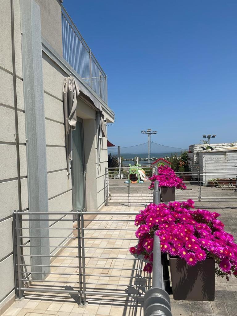 Hotel & Residence Cavalluccio Marino Rimini Zewnętrze zdjęcie